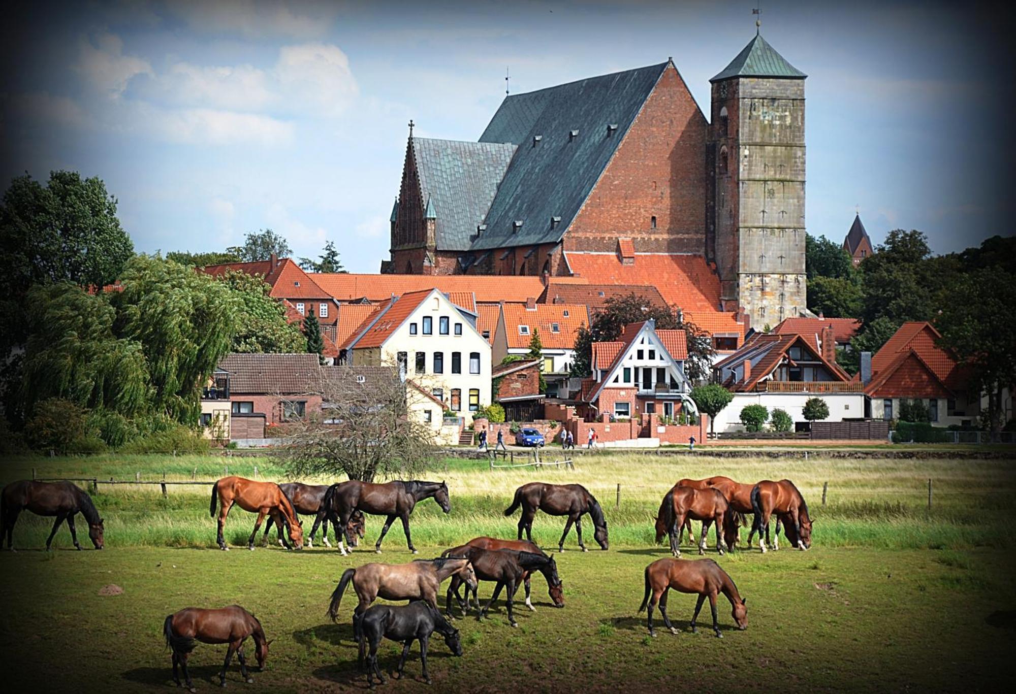 Landhotel Zur Linde Verden an der Aller Buitenkant foto